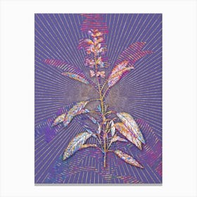 Geometric Sage Plant Mosaic Botanical Art on Veri Peri n.0179 Canvas Print