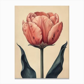 Floral Art 0010 Flower Single 0016 Fine Flowers 0012 Bp6586 An Old School Botanic Detailed Drawing Of A Carnivorous Canvas Print