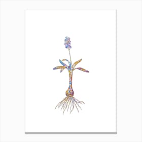 Stained Glass Scilla Lingulata Mosaic Botanical Illustration on White n.0032 Canvas Print