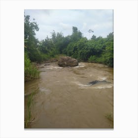 River In The Jungle Canvas Print