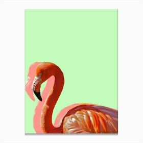 Pastel Flamingo III Canvas Print