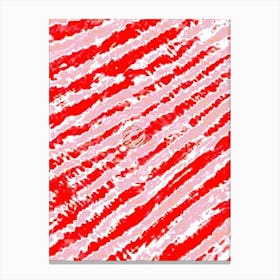 Red And White Stripes 1 Canvas Print