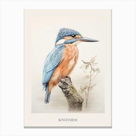 Vintage Bird Drawing Kingfisher 2 Poster Canvas Print