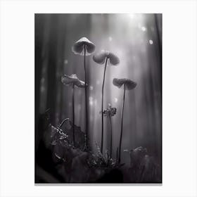 Mushrooms In The Forest 1 Canvas Print