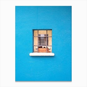Window In A Blue House Canvas Print