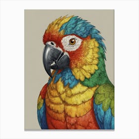 Colorful Parrot 40 Canvas Print