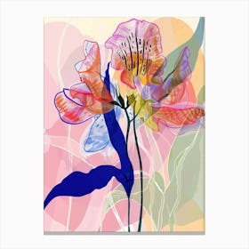 Colourful Flower Illustration Sweet Pea 1 Canvas Print