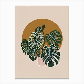 Monstera Plant in pot Canvas Print