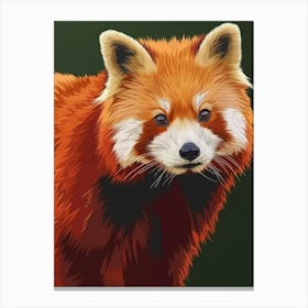 Red Panda 1 Canvas Print