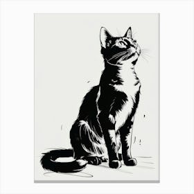 Black And White Cat 1 Canvas Print