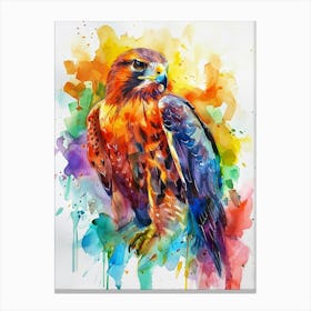 Hawk Colourful Watercolour 2 Canvas Print