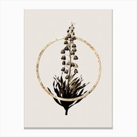 Gold Ring Persian Lily Glitter Botanical Illustration n.0190 Canvas Print