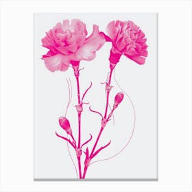 Hot Pink Carnations 1 Canvas Print