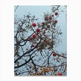 Rhododendrons In A Forest 6 By Binod Dawadi Canvas Print