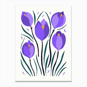 Crocus Flower Canvas Print