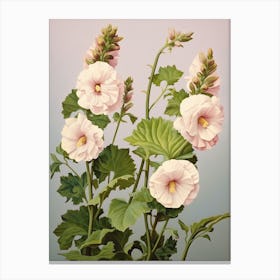 Floral Illustration Hollyhock 1 Canvas Print