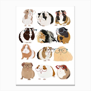 Guinea Pig With Glasses Canvas Print