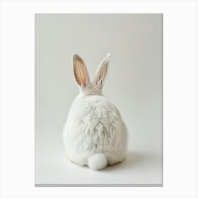 White Rabbit 1 Canvas Print