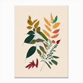 Curry Leaves Spices And Herbs Minimal Line Drawing 2 Canvas Print