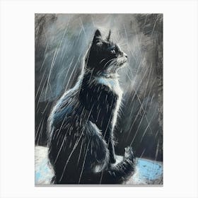 Cat In The Rain 9 Canvas Print