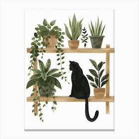 Cat On A Shelf Canvas Print