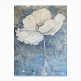 White Poppy Canvas Print