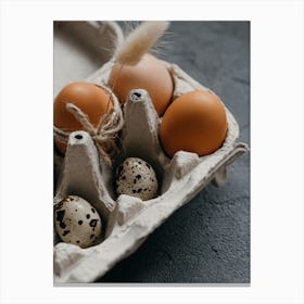 Eggs In A Carton 27 Canvas Print