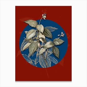 Vintage Botanical Tradescantia Erecta on Circle Blue on Red n.0063 Canvas Print