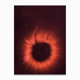 Eye Of Venus Canvas Print