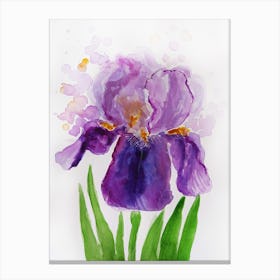 Purple Iris Watercolor Painting Canvas Print