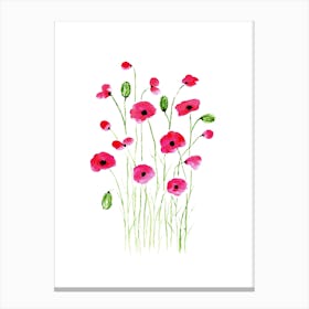 Poppies 1 Canvas Print