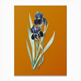Vintage German Iris Botanical on Sunset Orange n.0521 Canvas Print