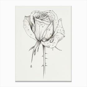English Rose Dew Line Drawing 3 Canvas Print