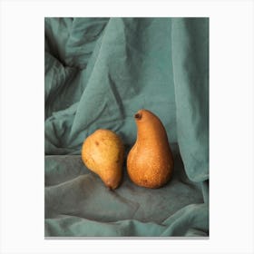 Pear Still Life Canvas Print