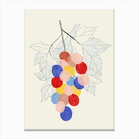 Grapes On A Branch Canvas Print