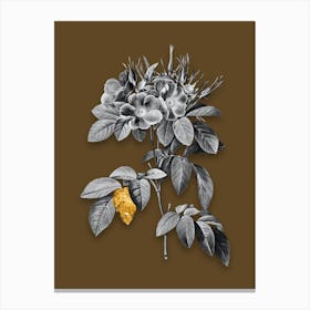 Vintage Pasture Rose Black and White Gold Leaf Floral Art on Coffee Brown n.0793 Canvas Print