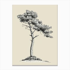 Pine Tree Minimalistic Drawing 2 Canvas Print