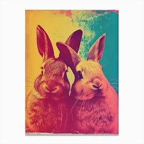 Bunnies Polaroid Inspired 2 Canvas Print