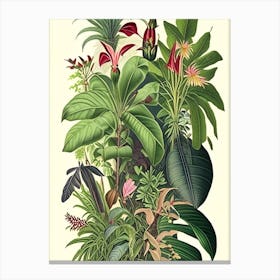 Jungle 3 Botanicals Canvas Print