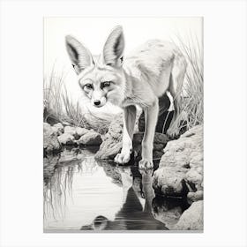 Fennec Fox Finds Water Pencil Drawing 2 Canvas Print