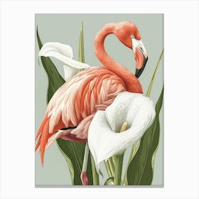 Andean Flamingo And Calla Lily Minimalist Illustration 3 Canvas Print