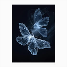 Moths In Smoke Canvas Print