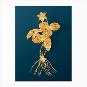 Vintage Trillium Rhomboideum Botanical in Gold on Teal Blue Canvas Print
