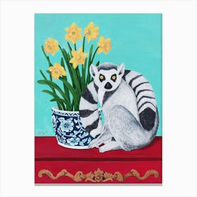 Lemur And Daffodil Canvas Print