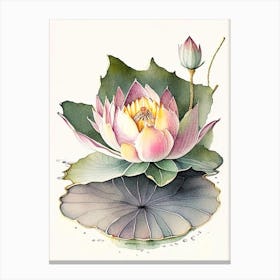 Blooming Lotus Flower In Lake Watercolour Ink Pencil 3 Canvas Print