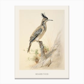 Vintage Bird Drawing Roadrunner 1 Poster Canvas Print