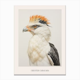 Vintage Bird Drawing Crested Caracara 1 Poster Canvas Print