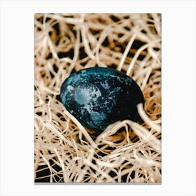 Black Egg In Straw Canvas Print