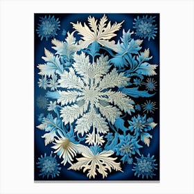 Ice, Snowflakes, Vintage Botanical 1 Canvas Print