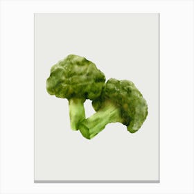Watercolor Broccoli Canvas Print